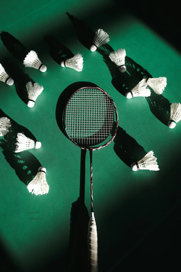 Badminton racket and shuttlecocks arranged on a green surface.